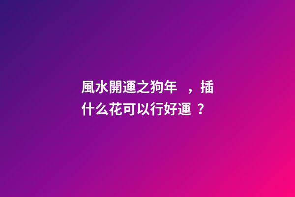 風水開運之狗年，插什么花可以行好運？